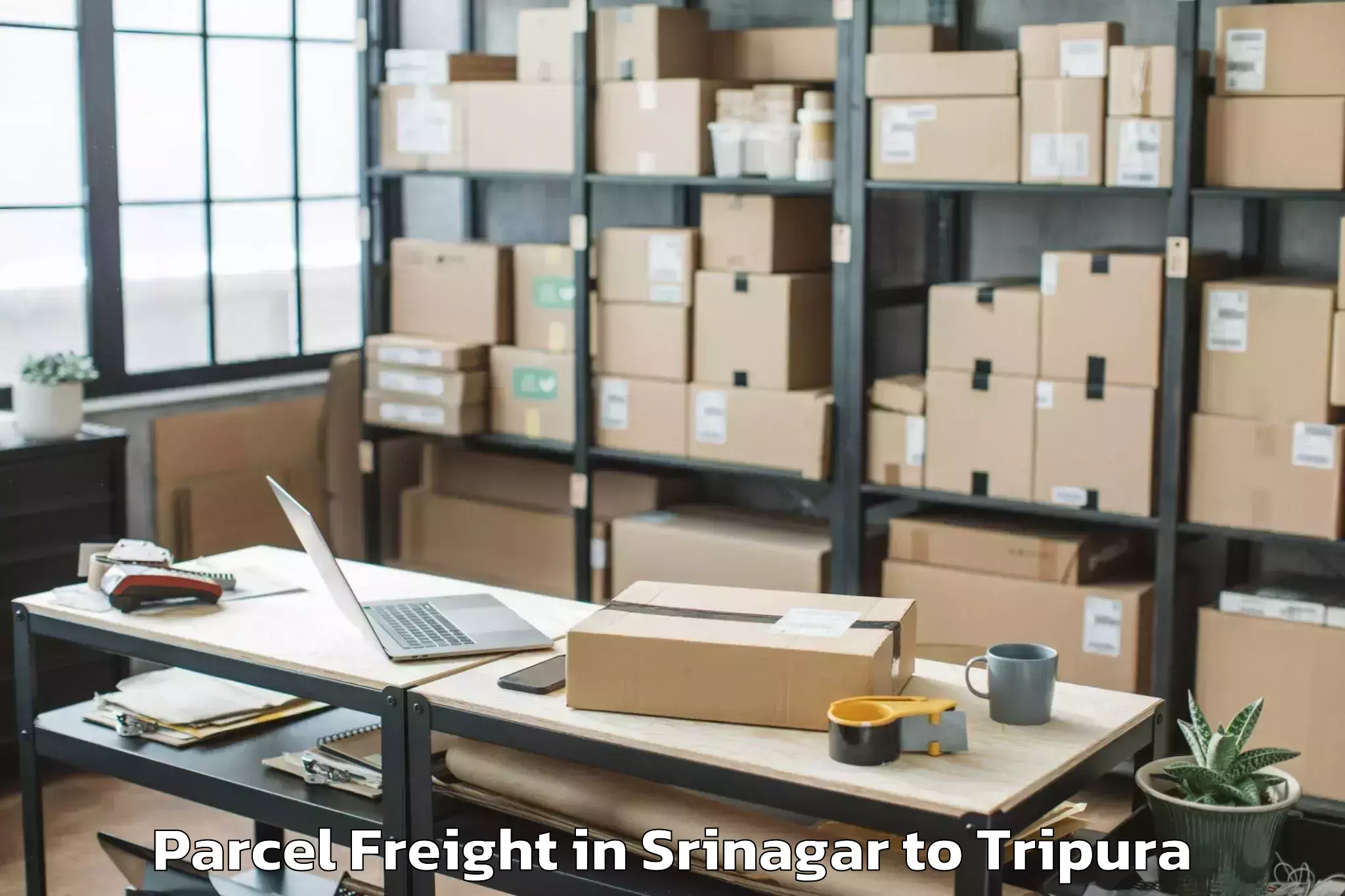 Leading Srinagar to Aambasa Parcel Freight Provider